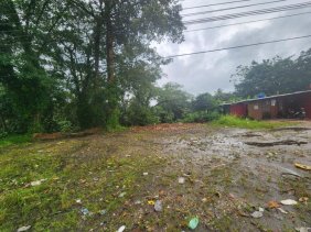Terreno en Alquiler en limon Limón, Colón