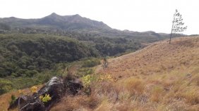 Terreno en Venta en Cabuya Antón, Coclé