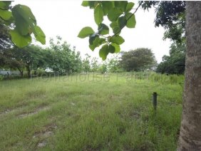 Terreno en Venta en Santa Clara Río Hato, Coclé