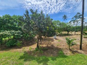 Terreno en Venta en Donoso Donoso, Colón