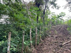 Terreno a la venta Las Cumbres Panamá 26GC3680