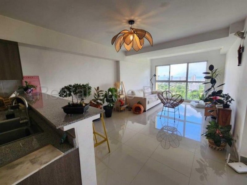 Alquiler de Apartamento en Carrasquilla H9085GRR