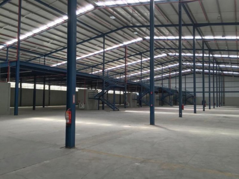 Foto Galera en Alquiler en San Miguelito, Panamá - U$D 17.910 - GAA24327 - BienesOnLine