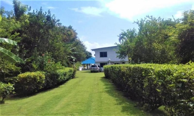 Foto Finca en Venta en Colon, Juan Gallego, Colón - U$D 350.000 - FIV51644 - BienesOnLine