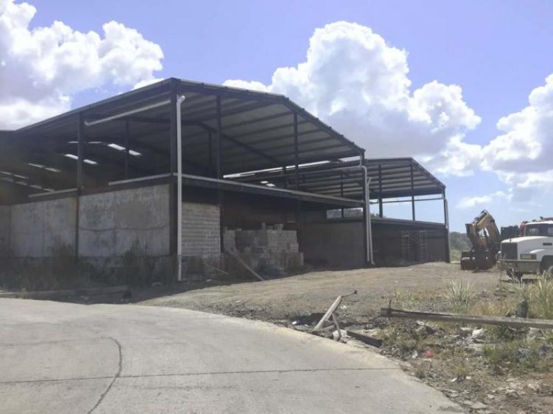 Foto Galera en Alquiler en San Miguelito, Panamá - U$D 12.500 - GAA17954 - BienesOnLine