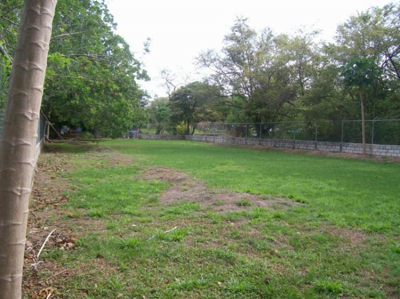 Foto Terreno en Venta en Gorgona, Chame, Panamá - U$D 75.000 - TEV655 - BienesOnLine