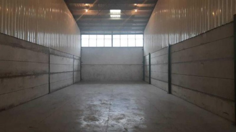 Foto Galera en Alquiler en Villa Zaita, Panamá - U$D 1.525 - GAA25854 - BienesOnLine