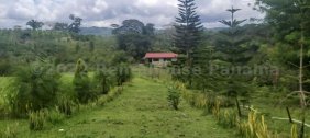 Venta de Finca en Capira para inversión única en Panamá con Cultivo de Guanábana