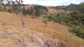 Finca en Venta en CABUYA Antón, Coclé