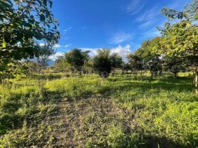 Terreno en venta en Boquete Chiriqui ELP 26-3980