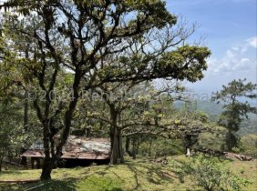 Terreno en Venta en Cerro Azul Ciudad de Panamá, Panamá