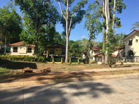 Terreno en Venta en Clayton. 26-6449.