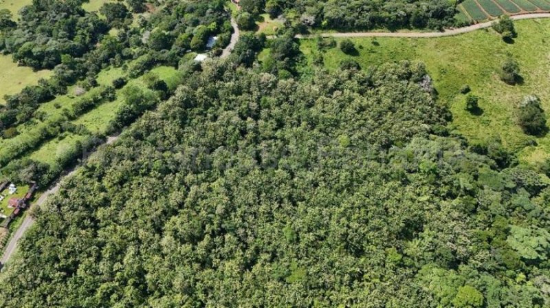 Terreno en venta La Chorrera ELP 25-4325
