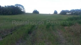 Terreno en Venta en ZAPALLAL Santa Fe, Darién