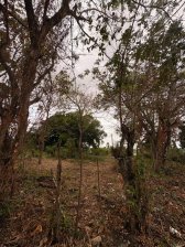 Terreno en Venta en Bejuco Chame, Panamá Oeste