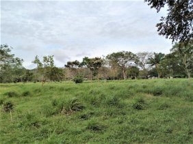 Finca en Venta en Los Mortales La Chorrera, Panamá Oeste