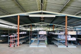 Galera en Venta en Pueblo Nuevo Pueblo Nuevo, Panamá