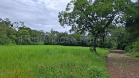 Venta de terreno 1.7ha en Caldera, Chiriqui 25GC4405